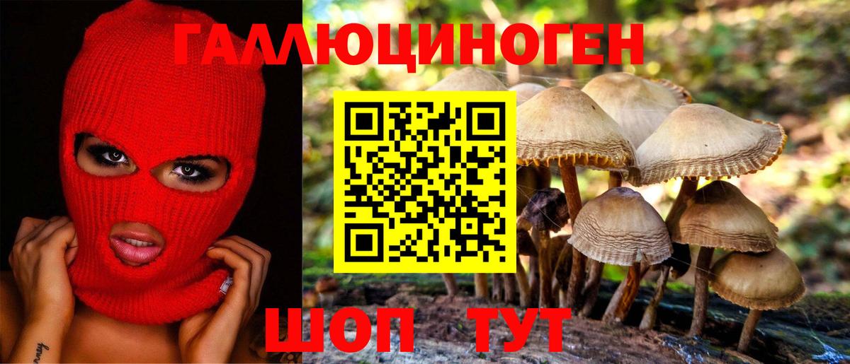 Оренбург  Галлюциногенные грибы мицелий  Вход с VPN  Псилоцибиновые грибы Psilocybine cubensis 