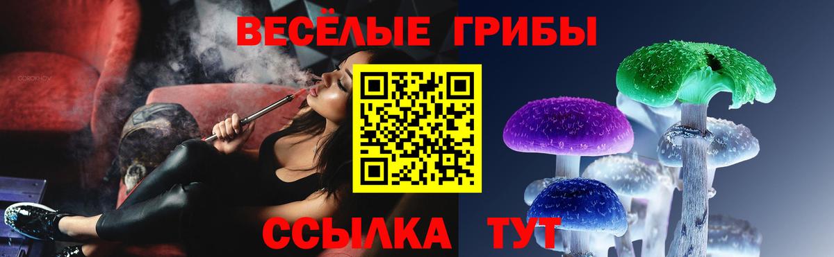 Псилоцибиновые грибы Cubensis Оренбург